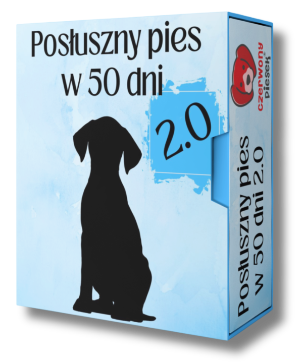 Posłuszny pies w 50 dni START 2.0