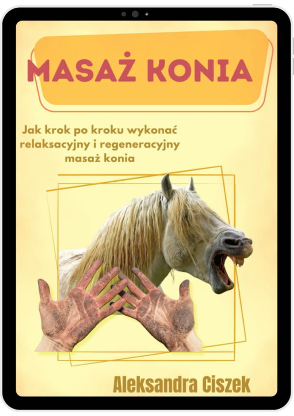 Masaż konia