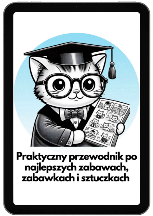 Praktyczny przewodnik po najlepszych zabawach, zabawkach i sztuczkach