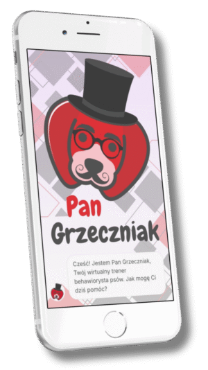 Pan Grzeczniak 1 miesiąc