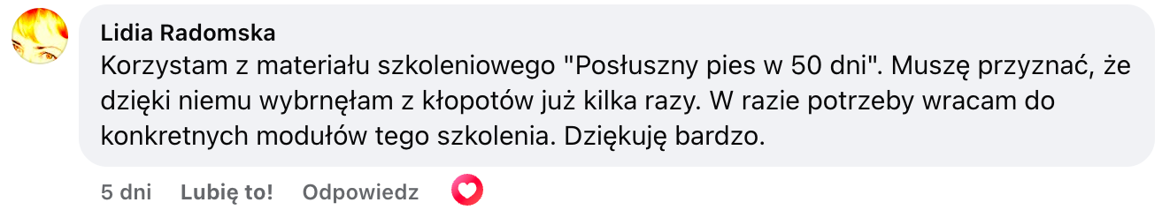 (1) Czerwony piesek - Tutaj możesz dodać swoją opinię o kursie... _ Facebook 2025-12-22 06-34-22