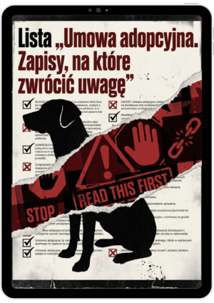 Lista: Umowa adopcyjna - zapisy, na które zwrócić uwagę