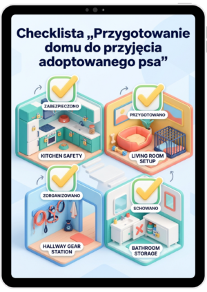 Checklista: Przygotowanie domu do przyjęcia adoptowanego psa