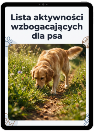 Lista aktywności wzbogacających dla psa