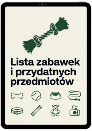 Lista zabawek i przydatnych przedmiotów
