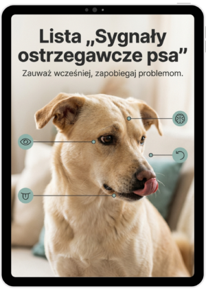 Lista: Sygnały ostrzegawcze psa