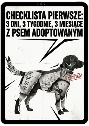 Checklista: Pierwsze 3 dni, 3 tygodnie i 3 miesiące z psem adoptowanym