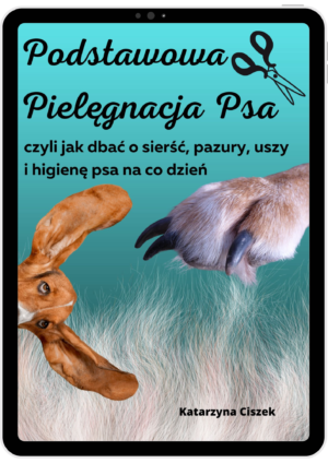 Podstawowa Pielęgnacja Psa