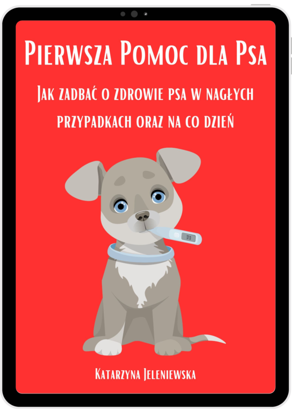 Projekt-bez-nazwy-20.png Pierwsza pomoc dla psa (p)