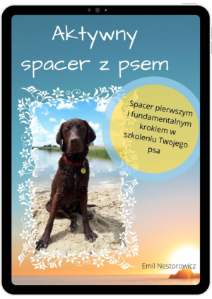 Aktywny spacer z psem