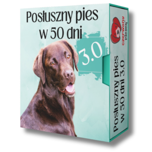 Posłuszny pies w 50 dni 3.0