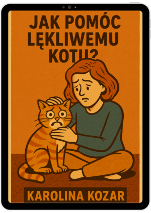 Jak pomóc lękliwemu kotu?