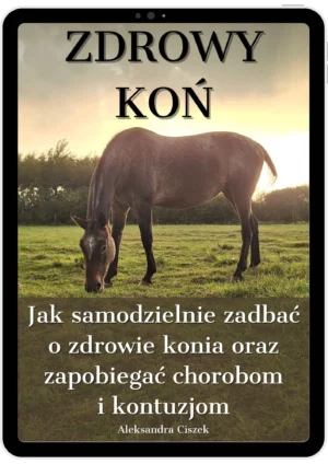 Zdrowy koń