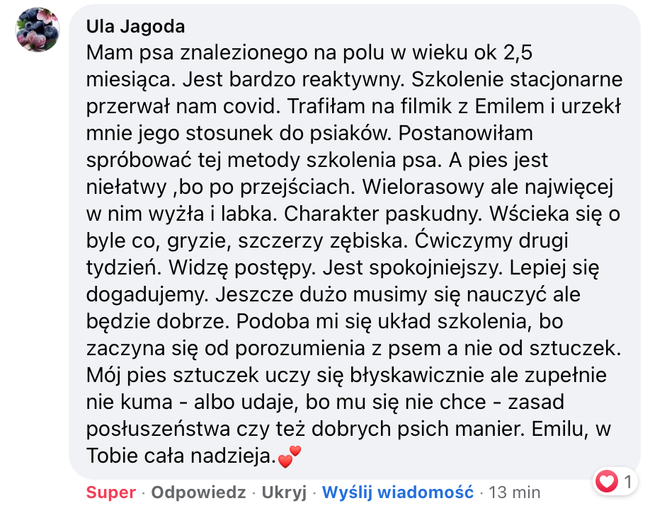 Czerwonypiesek.pl | Facebook 2022-01-26 13-15-35