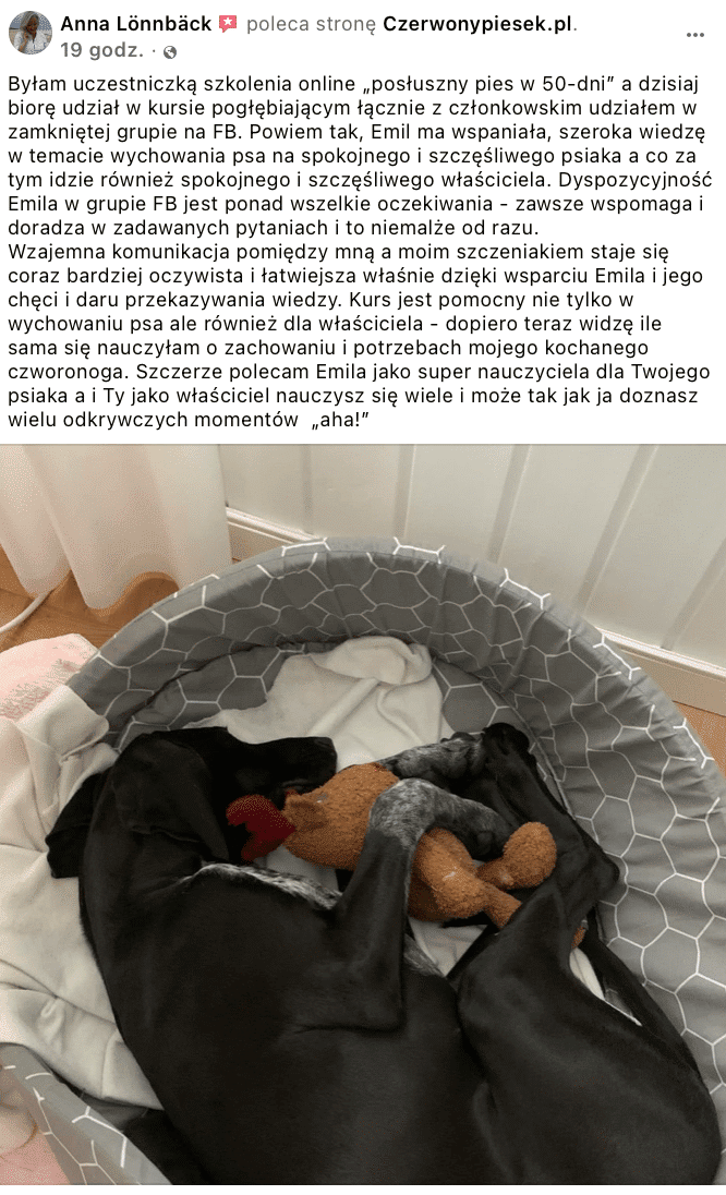 Czerwonypiesek.pl | Facebook 2022-09-22 07-32-44