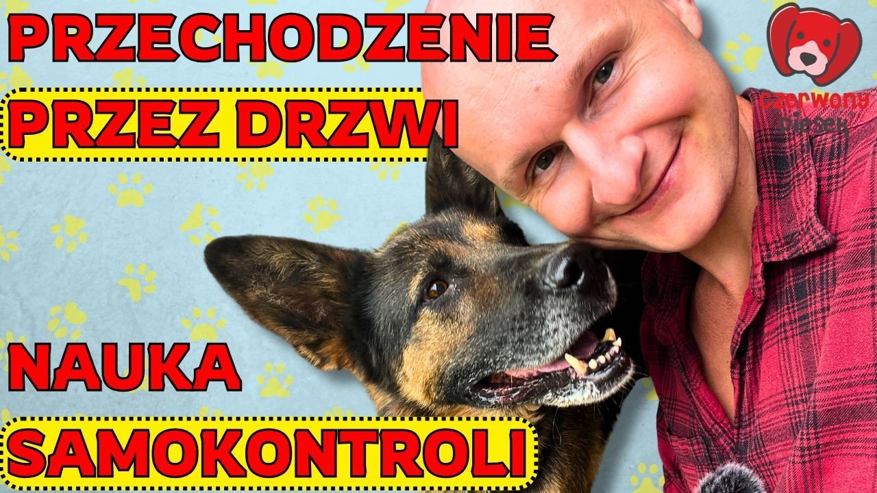 CzP miniaturki