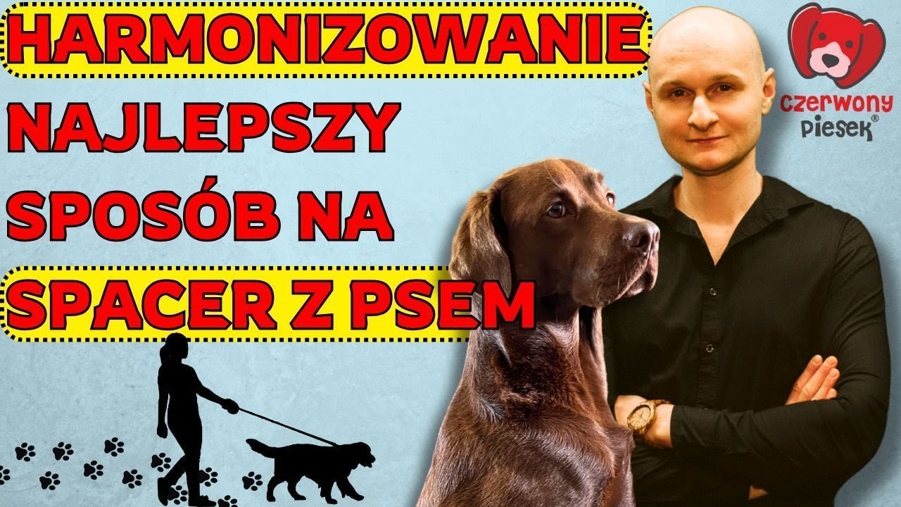 maxresdefault (3)