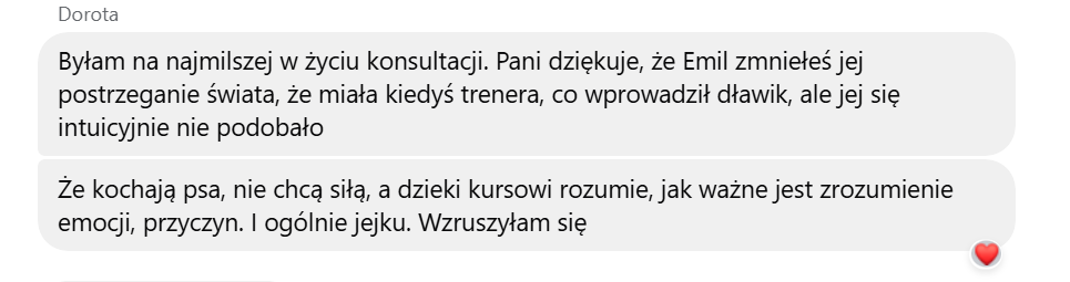Monosnap Messenger _ Facebook - Google Chrome 2025