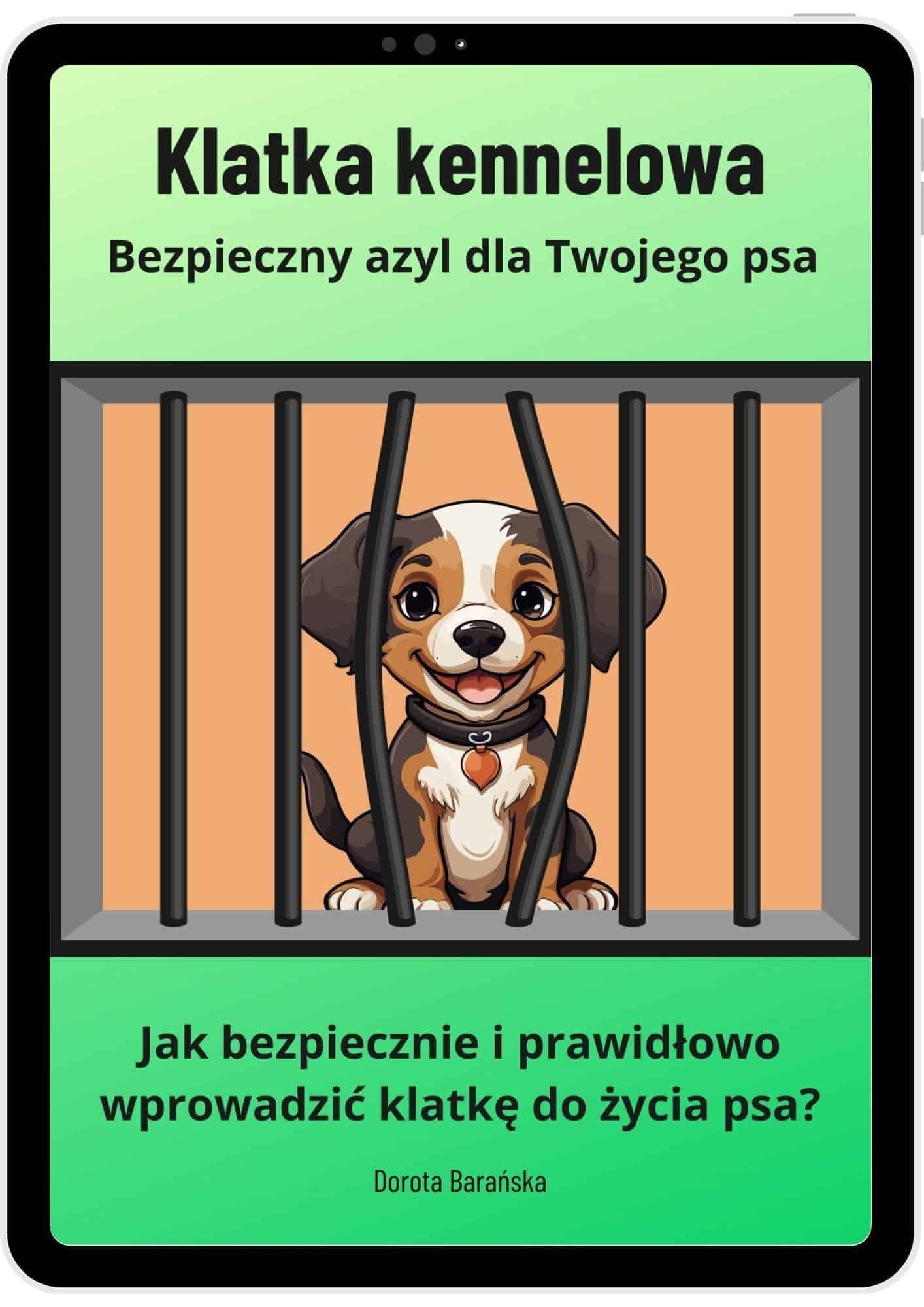 projekt-bez-nazwy-1-1