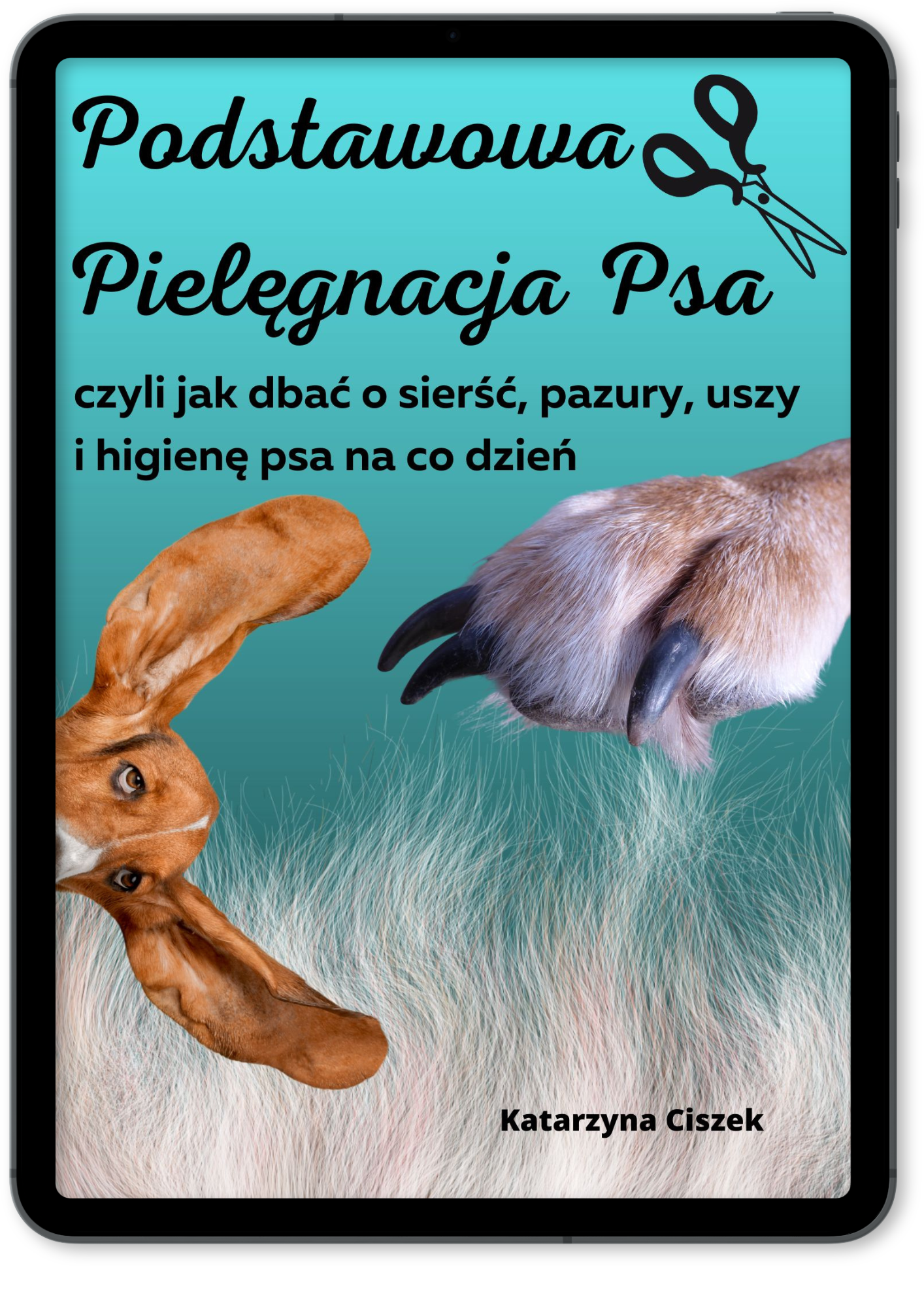 Projekt bez nazwy-7